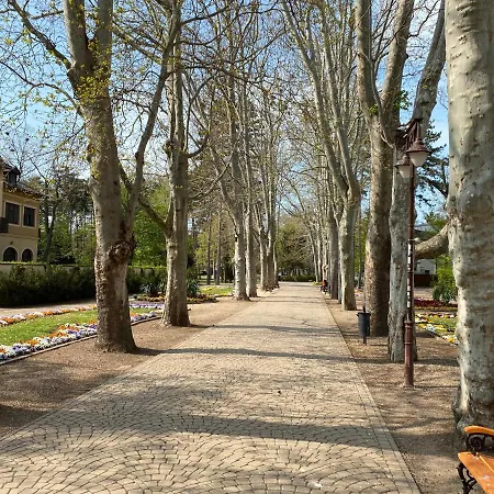 Gosztonyi * Siofok