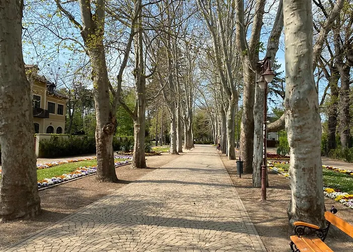 Gosztonyi * Siófok
