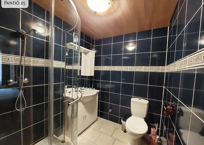 Hotel Gosztonyi *